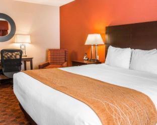 Comfort Inn & Suites and Conference Center - Mount Pleasant - 5