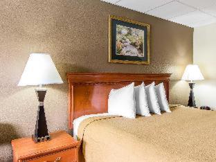 Econo Lodge Inn & Suites Gatlinburg at the Convention Center - 3