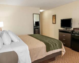 Comfort Inn & Suites Warsaw near US-30 - Warsaw - 2