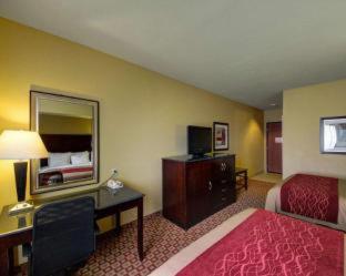 Comfort Inn & Suites Donna near I-2 - 7