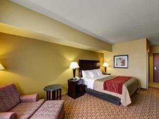 Comfort Inn & Suites Donna near I-2 - Donna - 2