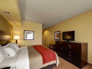 Comfort Inn & Suites Donna near I-2 - 1