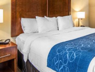 Comfort Suites Fredericksburg South - 7
