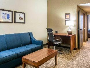 Comfort Suites Fredericksburg South - 6