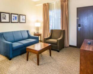 Comfort Suites Fredericksburg South - 2