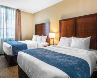 Comfort Suites Fredericksburg South - 1