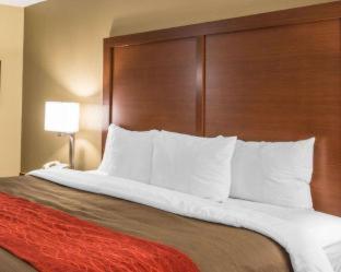Comfort Inn Biltmore West - 3