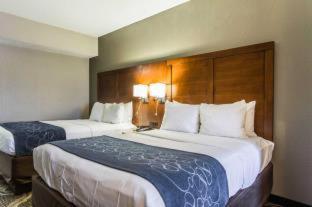 Comfort Suites Pineville - Ballantyne Area - Charlotte - 4