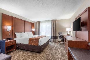 Comfort Inn & Suites Pinetop Show Low - Pinetop-Lakeside - 8