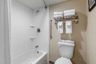 Comfort Inn & Suites Pinetop Show Low - Pinetop-Lakeside - 3