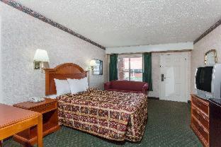 Days Inn by Wyndham Petersburg/South Fort Lee - Petersburg - 6