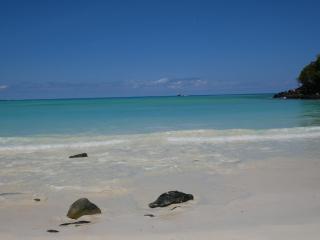 Le Zahir de l'ile - Iranja - 8