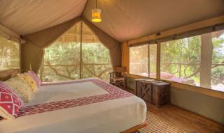Basecamp Masai Mara - Talek - 0