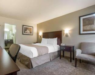 Rodeway Inn Convention Center - Los Angeles - 3