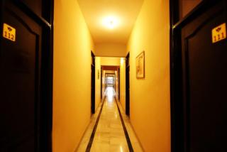 Hotel Ace Plaza - Udaipur - 1