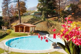 Tremezzo Residence-11 apartments to choose from in an exclusive residence by Italian Apartments - Tremezzo - 2