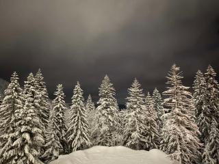 Jahorina 7Lux - 7