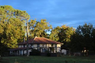 Gîte chez Kaky - Onesse-et-Laharie - 5