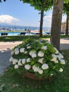 Villaggio Turistico dei Tigli - Padenghe sul Garda - 4