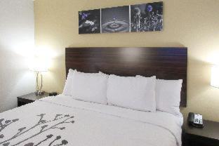 Garner Hotel Clarksville Northeast by IHG - 5
