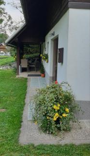Apartment Sonce - Bohinj - 3