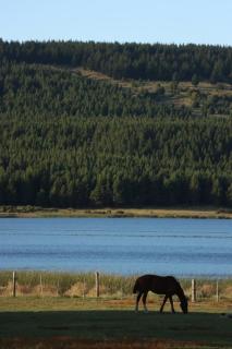Patagonia Retro - Esquel - 5