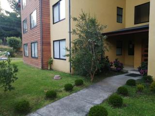 Departamento Pucon - 9