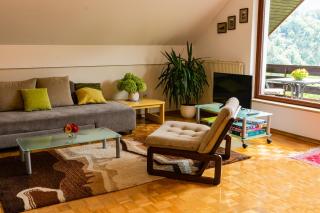 Spacious apartment - Bled - 3