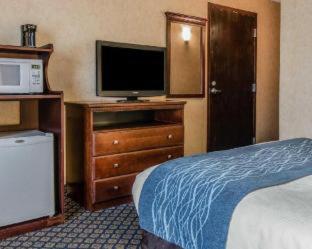 Quality Inn & Suites Coldwater near I-69 - Coldwater - 5