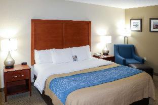Comfort Inn & Suites Sikeston I-55 - Sikeston - 9