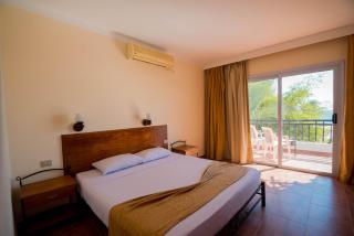 Panda resort - 1