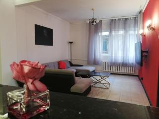 TOP CENTER spacious apartment with parking - Sofia - 1