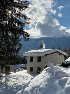 Pension & Apartments Waldkrieber - 8