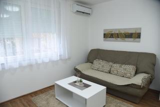 Apartmani Sofronic Loznica 1 - Loznica - 1