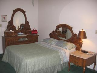 Olde Judge Mansion B&B - Troy - 7