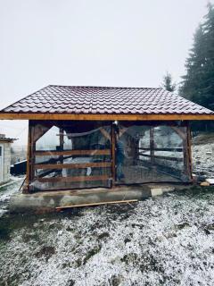 Cabana Beliș - Beliş - 6