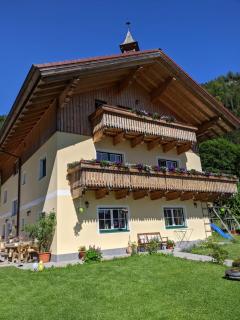 Bio Bauernhof Vorderoberlehen - Werfenweng - 2