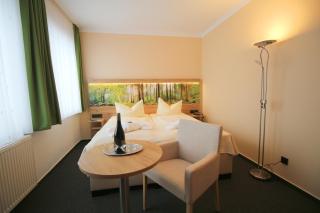 Hotel Harzresidenz - Thale - 9
