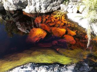 Frog Mountain Getaway - 7