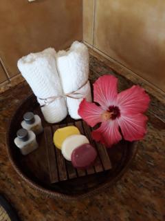 Luxury Suites Vila Indonésia - Garopaba - 6