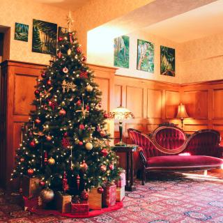 James Bay Inn Hotel, Suites & Cottage - 1