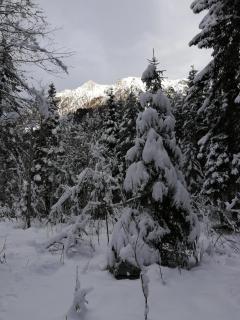 Landhaus Brigitte - Flachau - 8