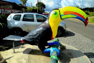 Toucan Lane Hotel and Restaurant - Nuevo Arenal - 0