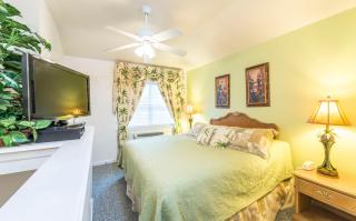 The Cozy Inn - St. Augustine - 9