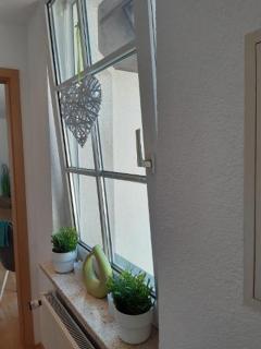 Ferienwohnung Salzmannhaus - Zschopau - 3