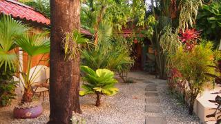 Samara Palm Lodge - Sámara - 2