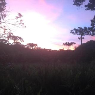 Casa sede Santuário Bellatrix - 2