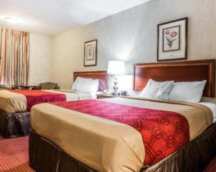 Econo Lodge Inn & Suites Matthews - Charlotte - Matthews - 9