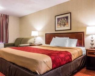 Econo Lodge Inn & Suites Matthews - Charlotte - Matthews - 5