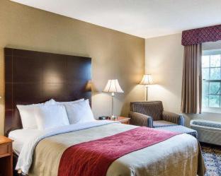 Comfort Inn Rockland - Boston - 5